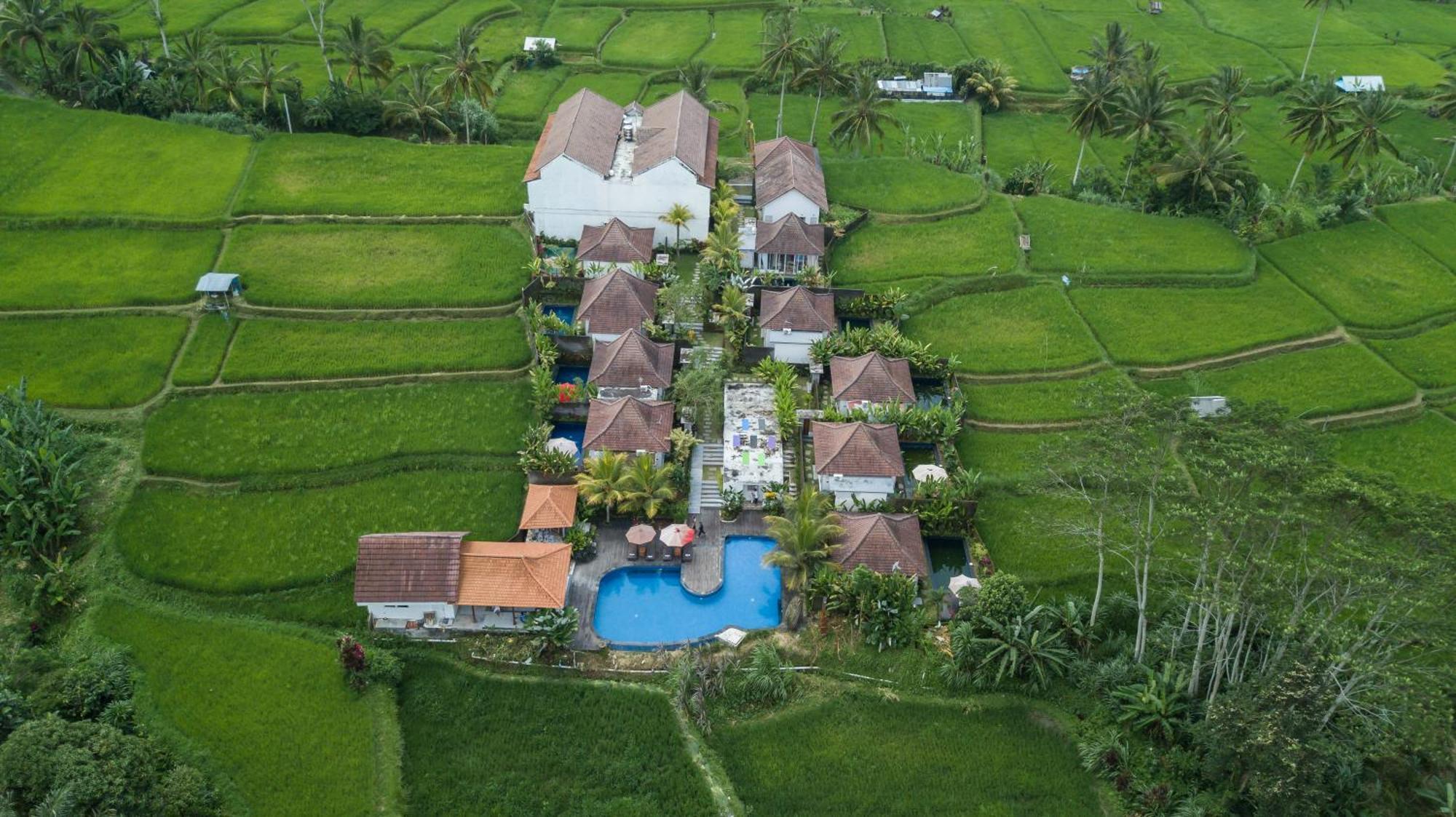 Tanta Escape Hotel Tegallalang  Ngoại thất bức ảnh
