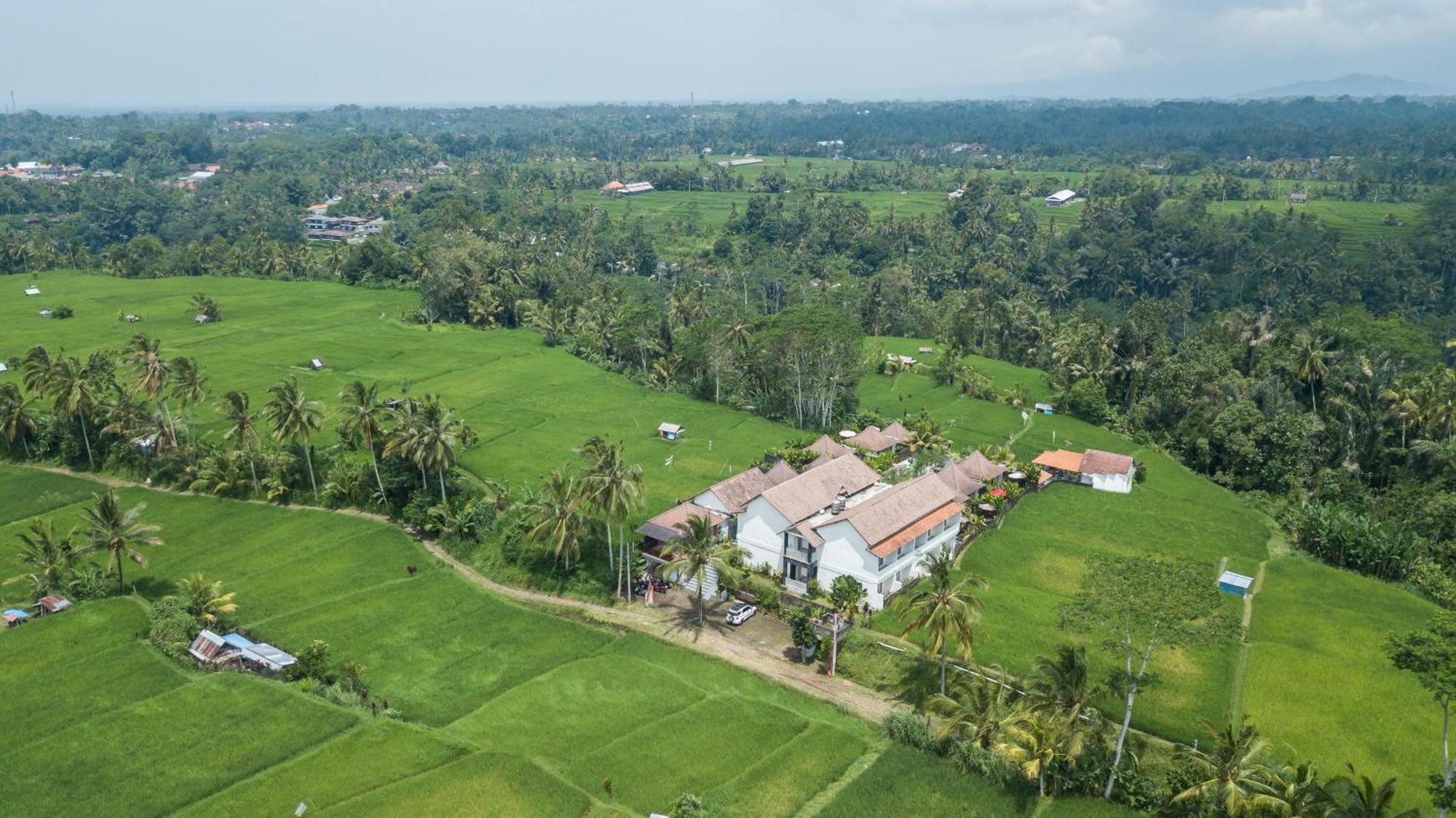 Tanta Escape Hotel Tegallalang  Ngoại thất bức ảnh