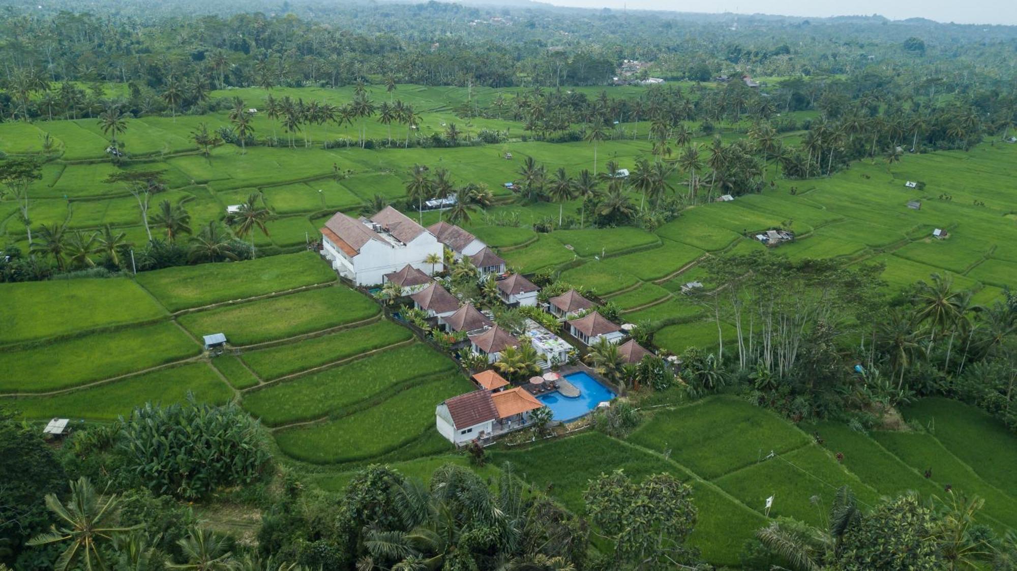 Tanta Escape Hotel Tegallalang  Ngoại thất bức ảnh